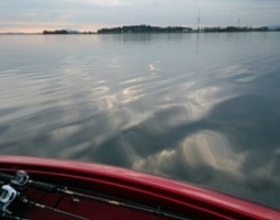 釣果報告。琵琶湖編です。（茨木店）